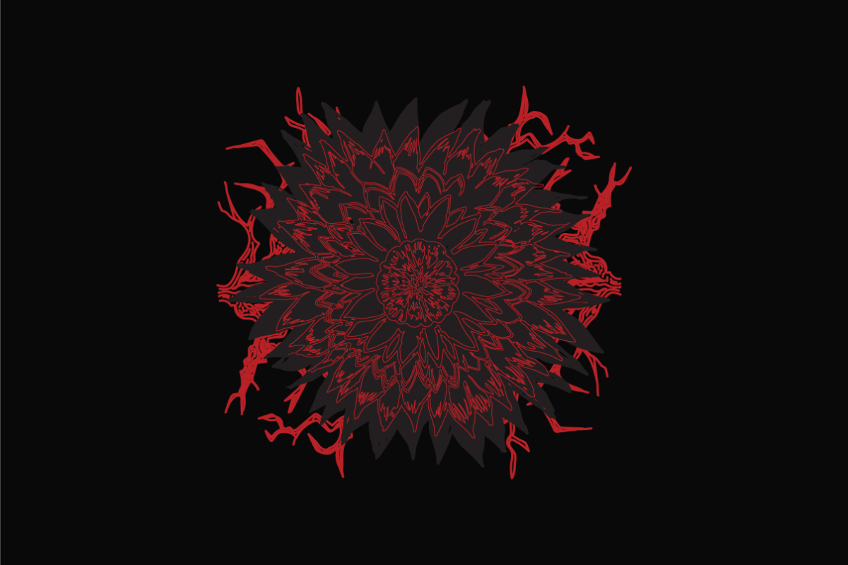 Project 1 Image 3